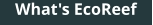 What's EcoReef