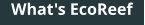 What's EcoReef